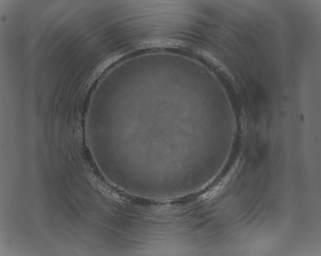 X0000074341025200608251345