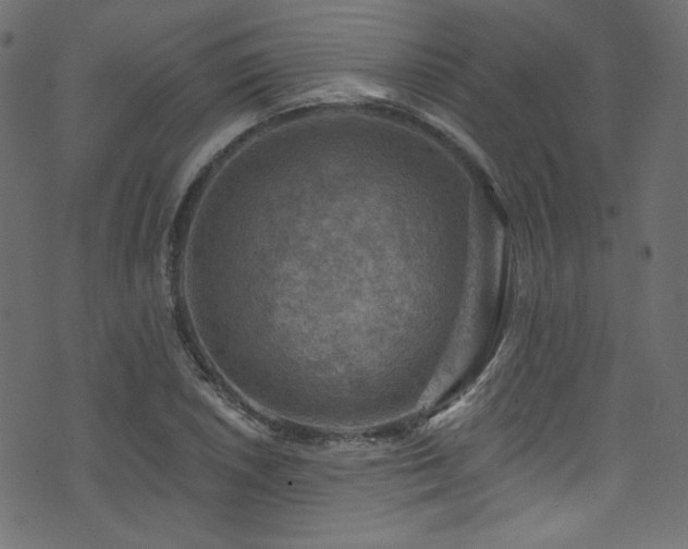 X0000074341026200608251345