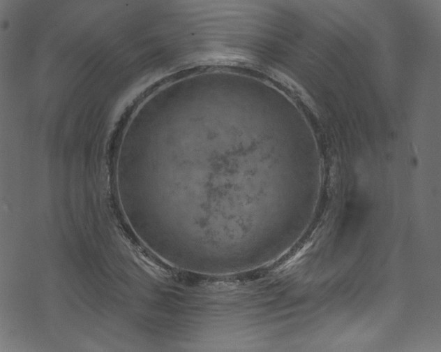 X0000074341027200608251345