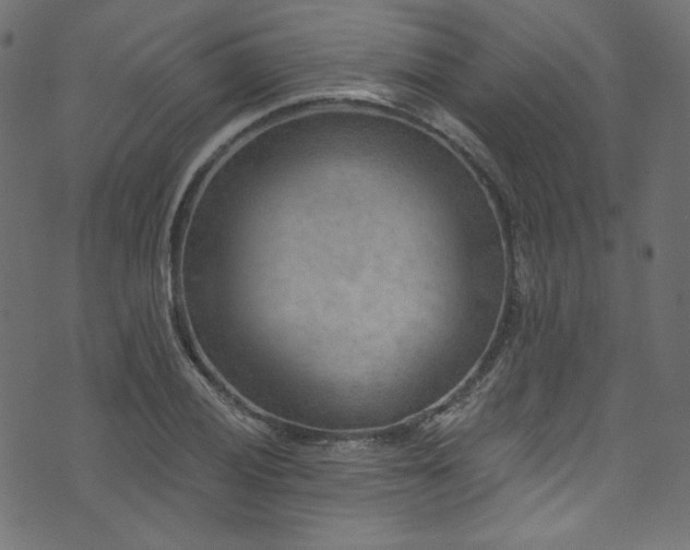 X0000074341028200608251346