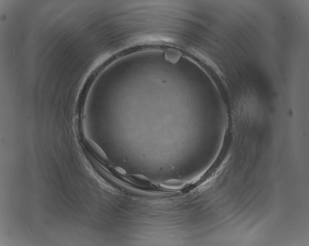 X0000074341029200608251346