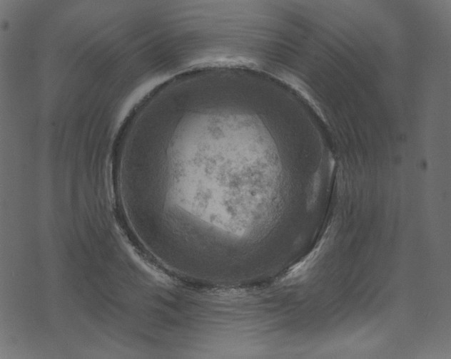 X0000074341030200608251346