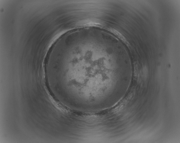 X0000074341031200608251346