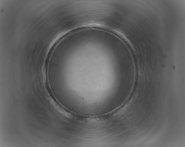 X0000074341032200608251346