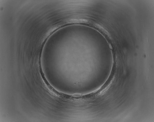 X0000074341033200608251346