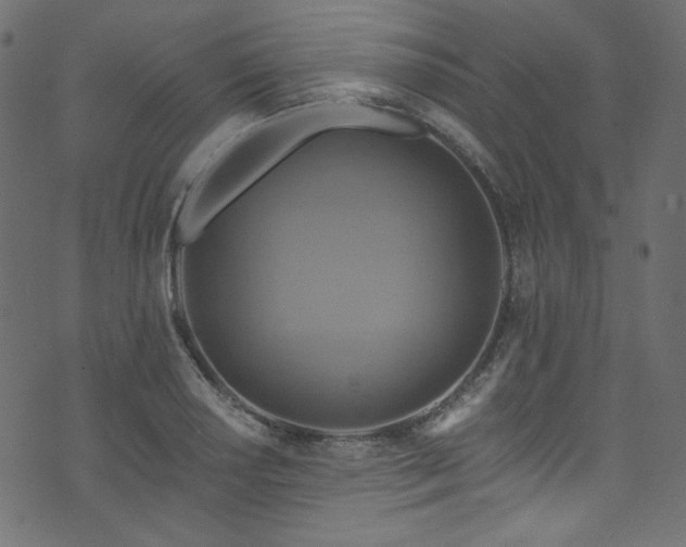 X0000074341034200608251346