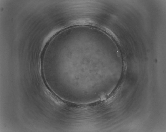 X0000074341035200608251346