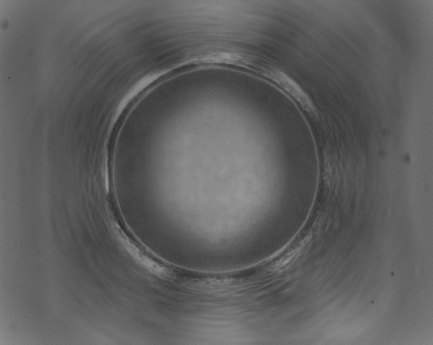 X0000074341036200608251346