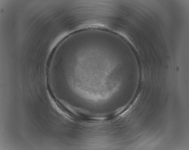 X0000074341038200608251346