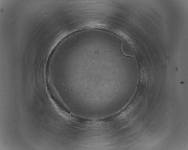 X0000074341039200608251346