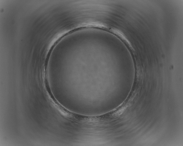 X0000074341040200608251346