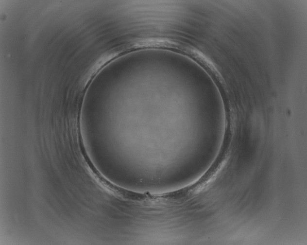 X0000074341041200608251346