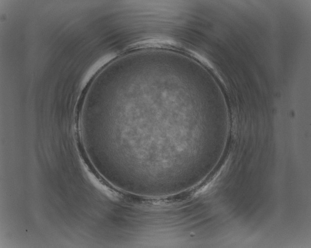 X0000074341042200608251346