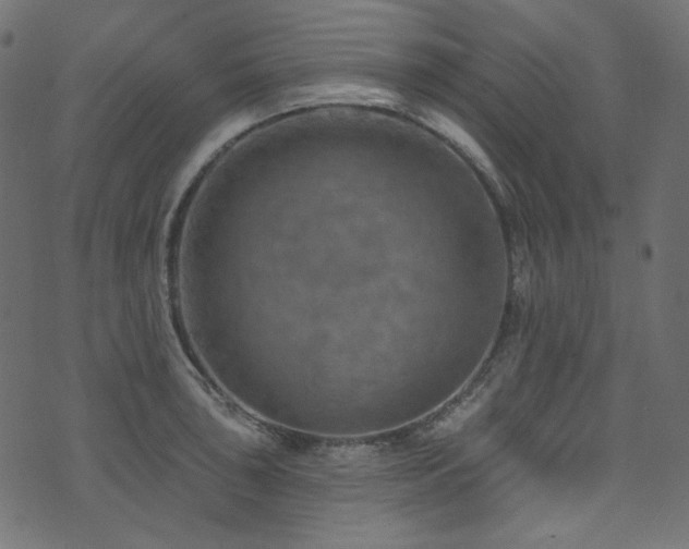 X0000074341043200608251346