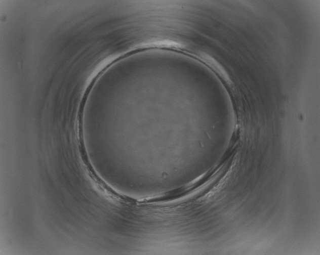 X0000074341044200608251346