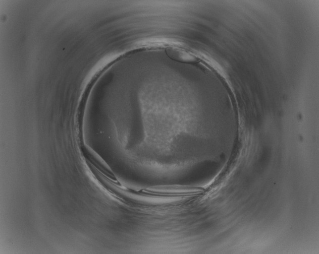 X0000074341045200608251346