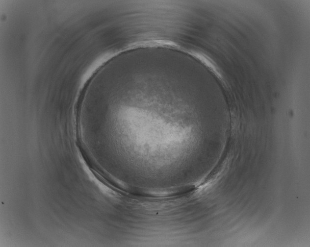 X0000074341046200608251346