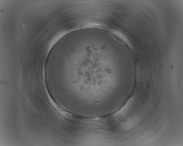 X0000074341047200608251346