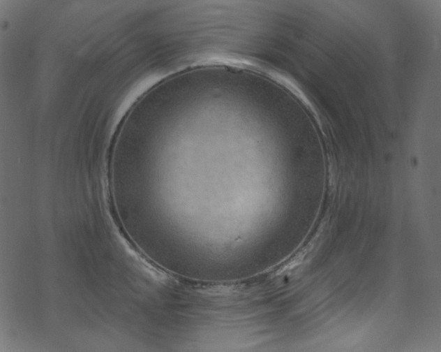 X0000074341048200608251346