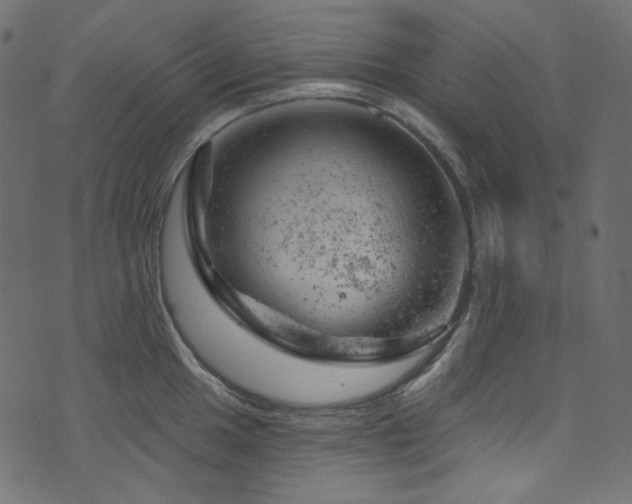 X0000074341049200608251346