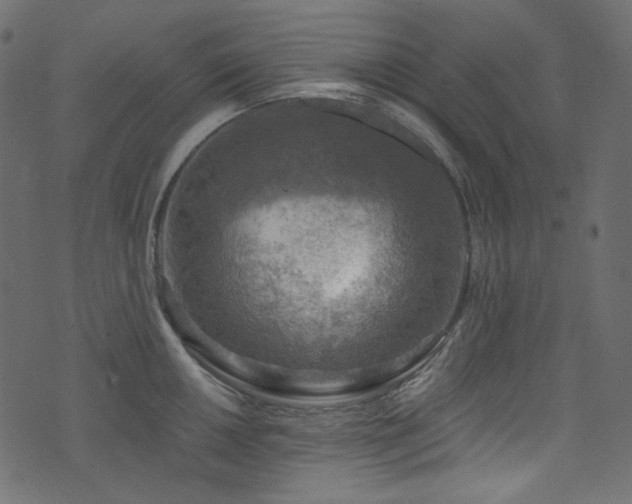 X0000074341050200608251346