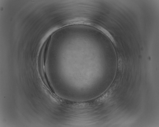 X0000074341051200608251346