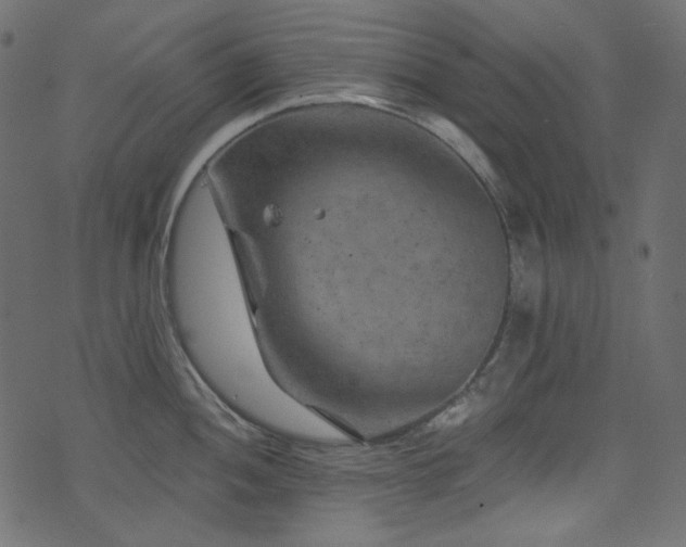 X0000074341052200608251346