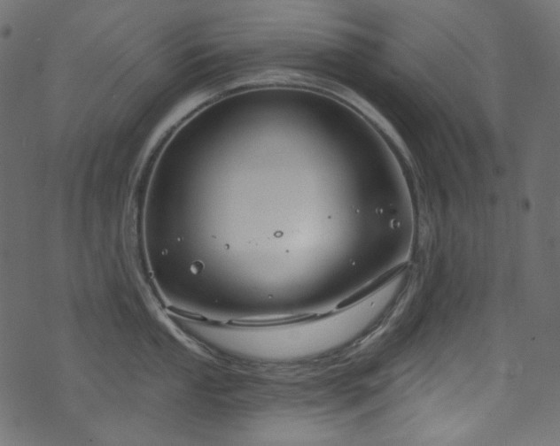 X0000074341053200608251346