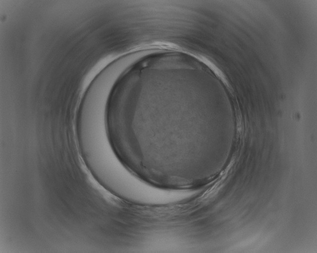 X0000074341054200608251346