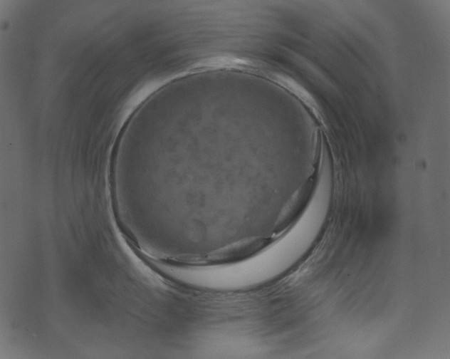 X0000074341055200608251346