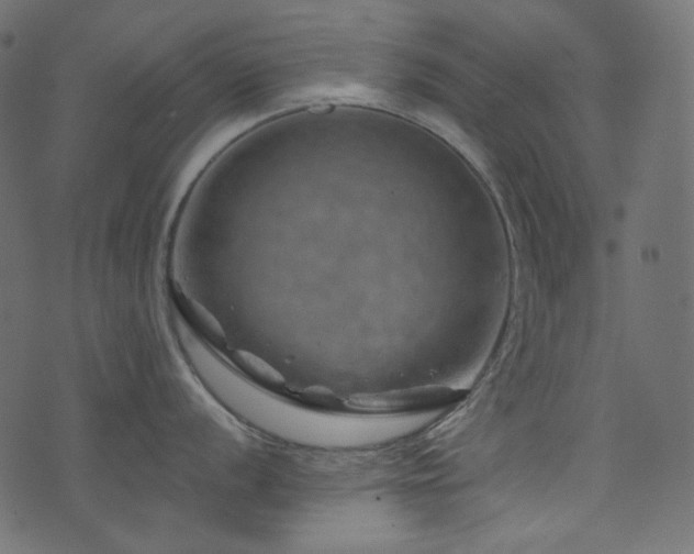 X0000074341056200608251346