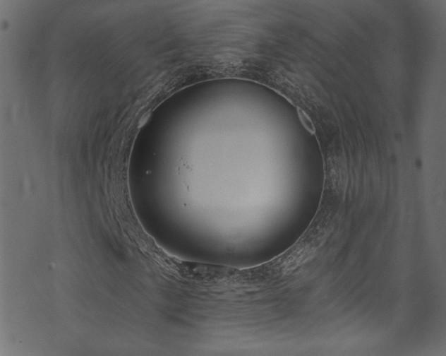 X0000074341057200608251345