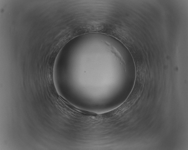 X0000074341058200608251345