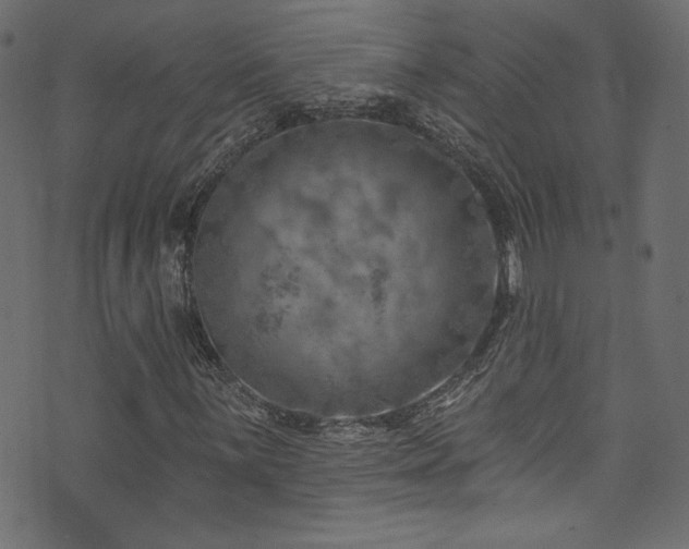 X0000074341059200608251345