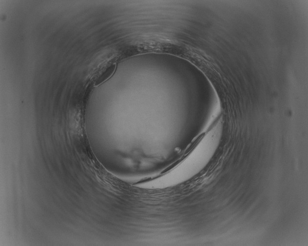 X0000074341060200608251345