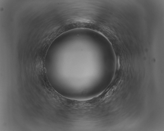 X0000074341061200608251345