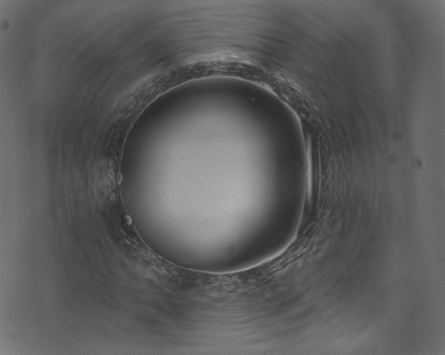 X0000074341062200608251345