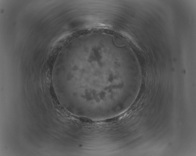 X0000074341063200608251345