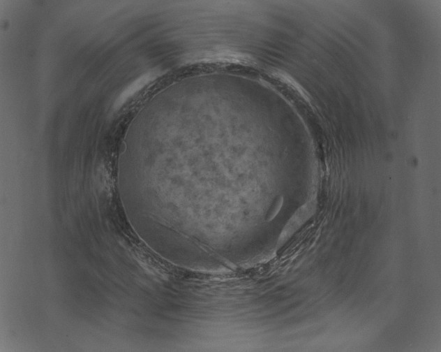 X0000074341064200608251345