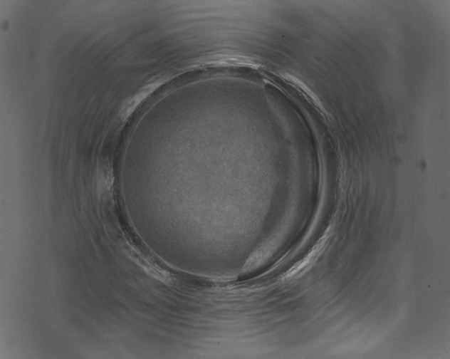 X0000074341065200608251345