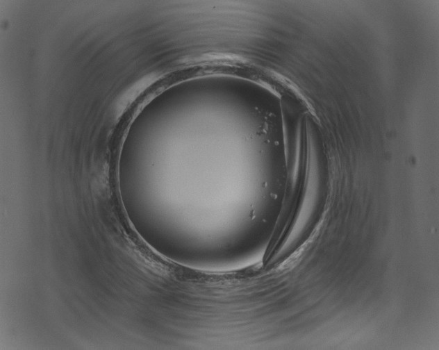 X0000074341066200608251345