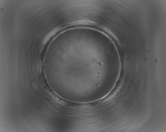 X0000074341067200608251345