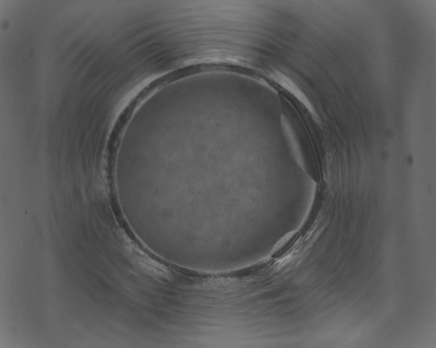 X0000074341068200608251345