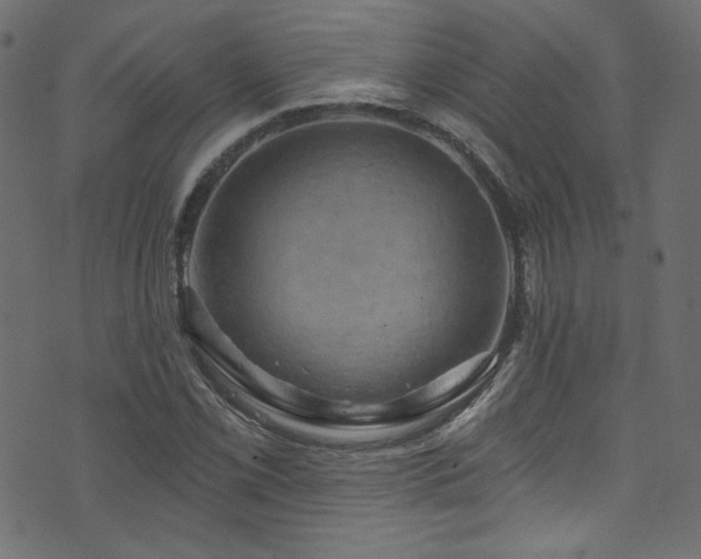 X0000074341069200608251345