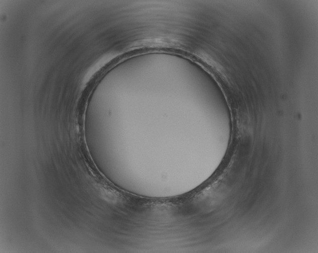 X0000074341070200608251345