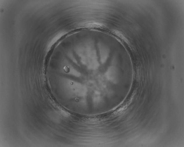 X0000074341071200608251345