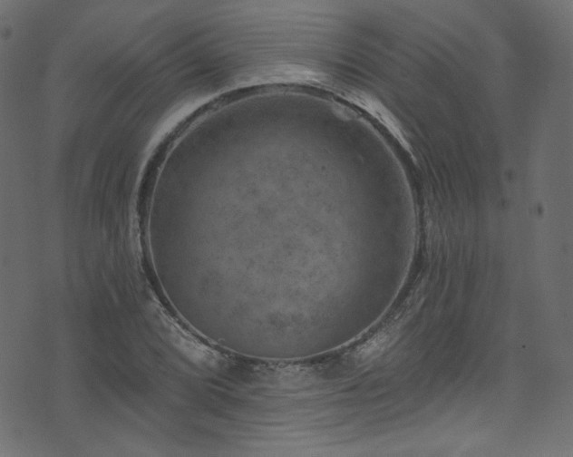 X0000074341072200608251345