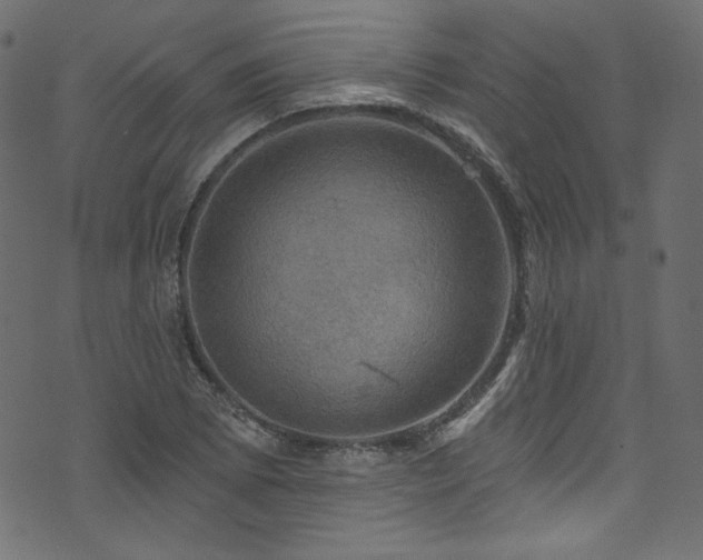 X0000074341073200608251345