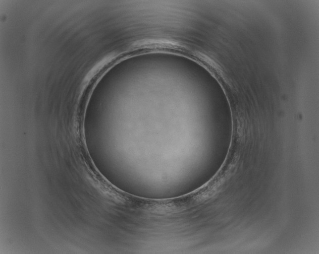 X0000074341074200608251345