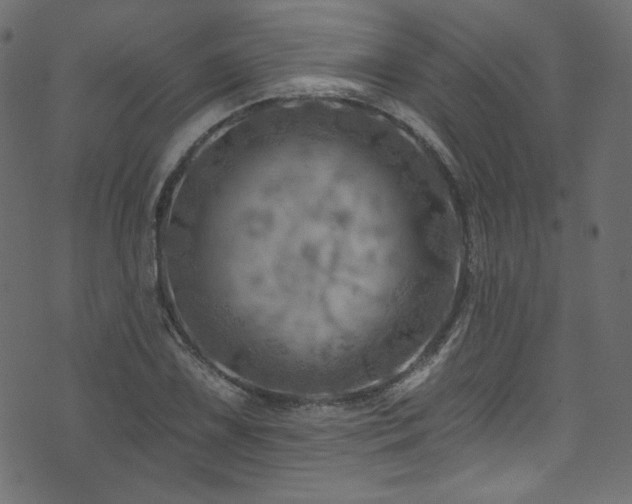 X0000074341075200608251345